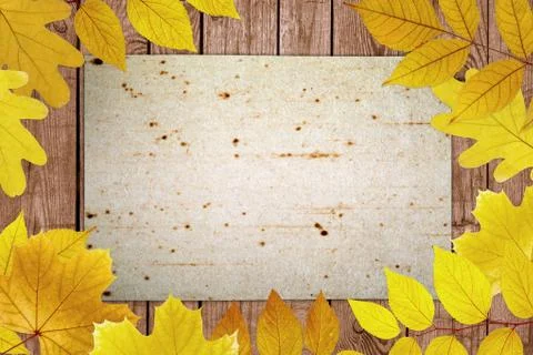 Fall background Фото