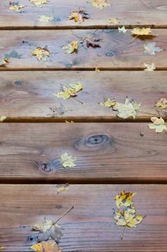 Fall background Stock Photos