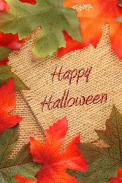 Fall background Stock Photos