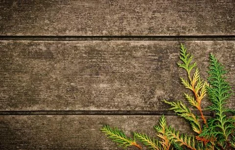 Fall background Stock Photos