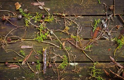 Fall background Stock Photos