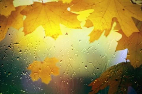 Fall background Фото