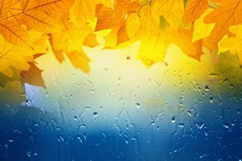 Fall background Фото