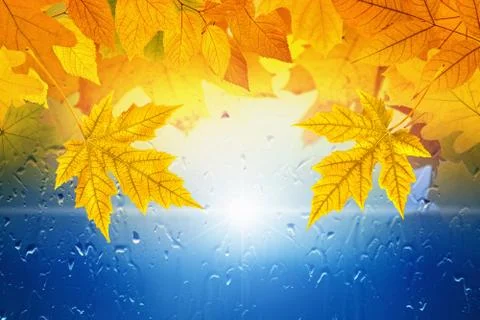 Fall background Фото