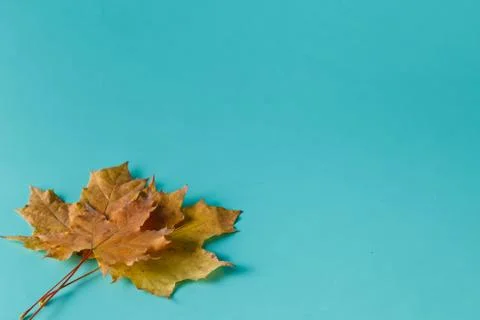 Fall background Stock Photos