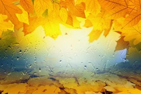 Fall background Фото