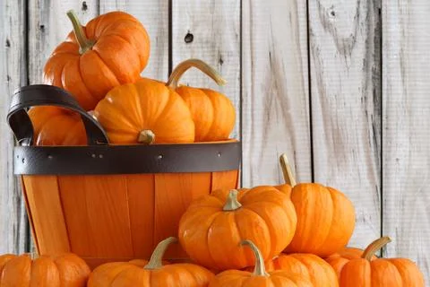 Fall background Stock Photos