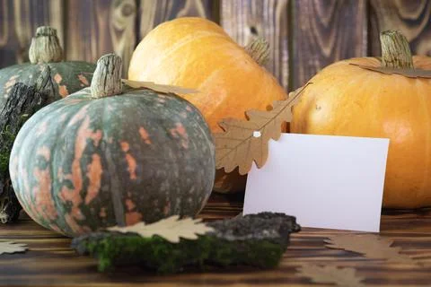Fall Background with Pumpkins. Autumn background with pumpkins on rustic back Stock Photos