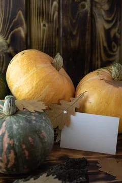 Fall Background with Pumpkins. Autumn background with pumpkins on rustic back Stock Photos