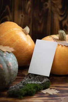 Fall Background with Pumpkins. Autumn background with pumpkins on rustic back Stock Photos