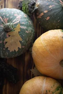 Fall Background with Pumpkins. Autumn background with pumpkins on rustic Stock Photos
