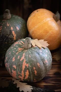 Fall Background with Pumpkins. Autumn background with pumpkins on rustic Stock Photos