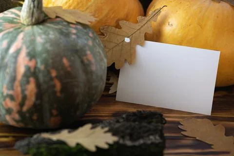 Fall Background with Pumpkins. Autumn background with pumpkins on rustic Stock Photos