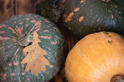 Fall Background with Pumpkins. Autumn background with pumpkins on rustic Foto stock