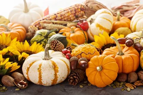 Fall background with pumpkins Stock Photos