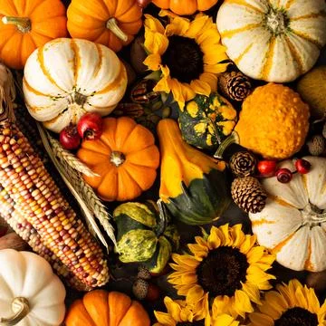 Fall background with pumpkins Stock Photos