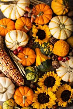 Fall background with pumpkins Stock Photos