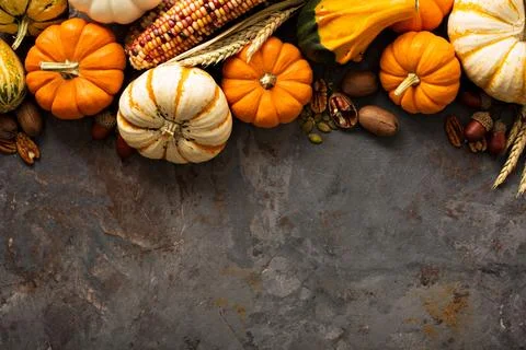 Fall background with pumpkins Stock Photos