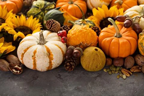 Fall background with pumpkins Stock Photos