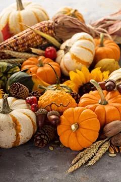 Fall background with pumpkins Stock Photos
