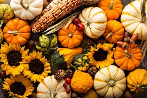 Fall background with pumpkins Stock Photos