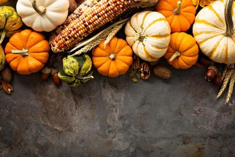 Fall background with pumpkins Stock Photos