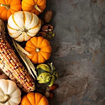 Fall background with pumpkins Stock Photos