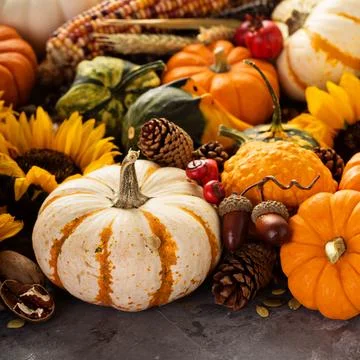 Fall background with pumpkins Stock Photos