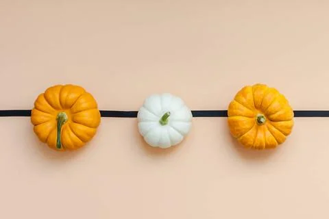 Fall background with small pumpkins Creative Top view flat lay autumn comp... Fotos de archivo