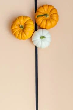 Fall background with small pumpkins Stock Photos