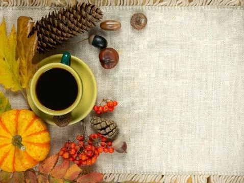 Fall background texture with coffee cup, small pumpkin, nuts and yellow lea.. Stock Photos