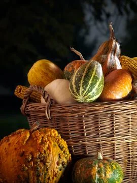 Fall basket Stock Photos