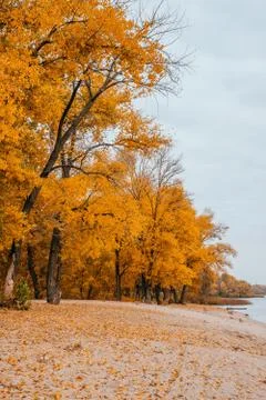Fall beach of the river Stock Photos