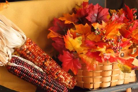 Fall Bench Left Close Stock Photos