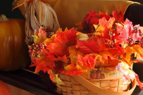 Fall Bench Right Close Stock Photos