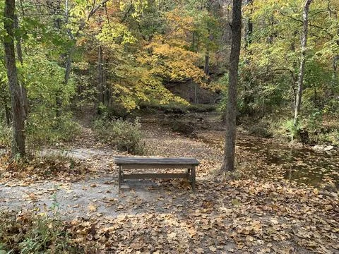 Fall bench at Rock Bridge Stock Photos