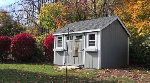 Fall Birdfeeder Video stock 44468784