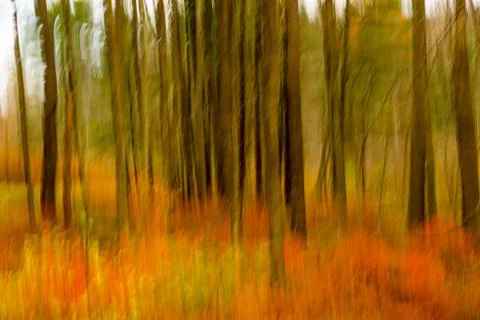 Fall Blur Stock Photos