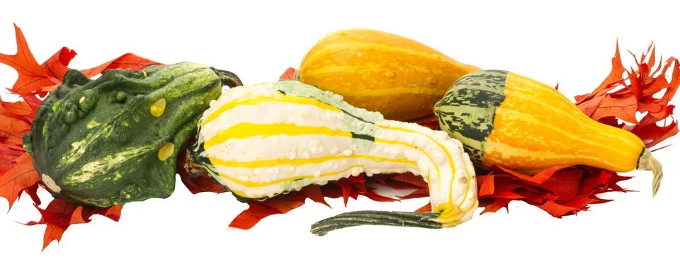 Fall border element with gourds Foto stock