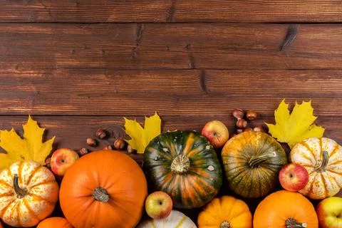 Fall border pumpkins leaves and apples Stock Photos