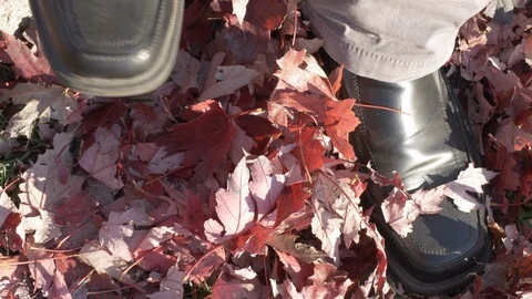 Fall- bored  man moving foot up and down on orange maple leaves 4k Stock Footage 97382849