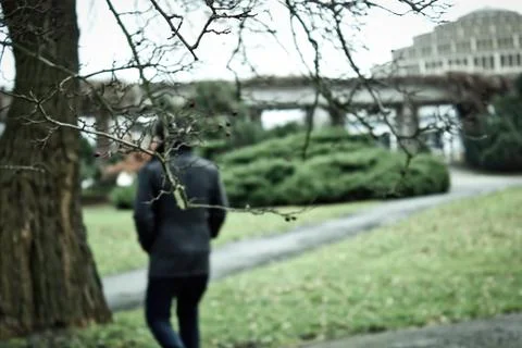A fall branches without leaves against out of focus blurred Rear view of a ma Stock Photos