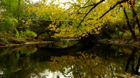Fall Bridge 2 Stock Footage 861180