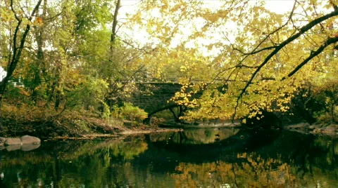Fall Bridge Stock Footage 861176