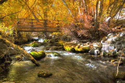 Fall Bridge Stock Photos