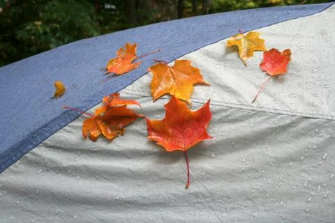 Fall Camping Stock Photos