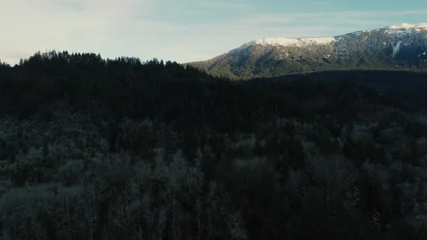 Fall Canadian forest with the mountain and icepeak behind Stock Footage 138289220