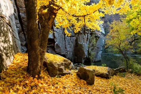 Fall canyon scene Stock Photos