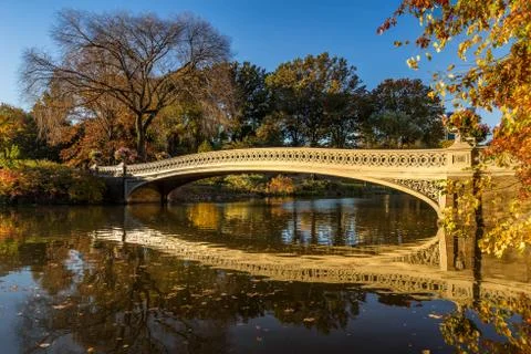 Fall in Central Park with the Bow Bridge, New York Foto stock