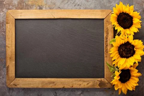 Fall chalkboard frame with pumpkins Stock Photos